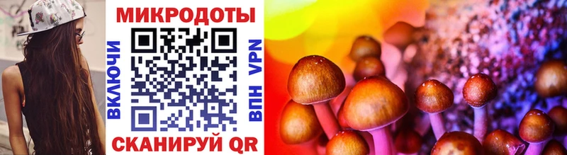 наркотики  Николаевск-на-Амуре  Галлюциногенные грибы Cubensis 